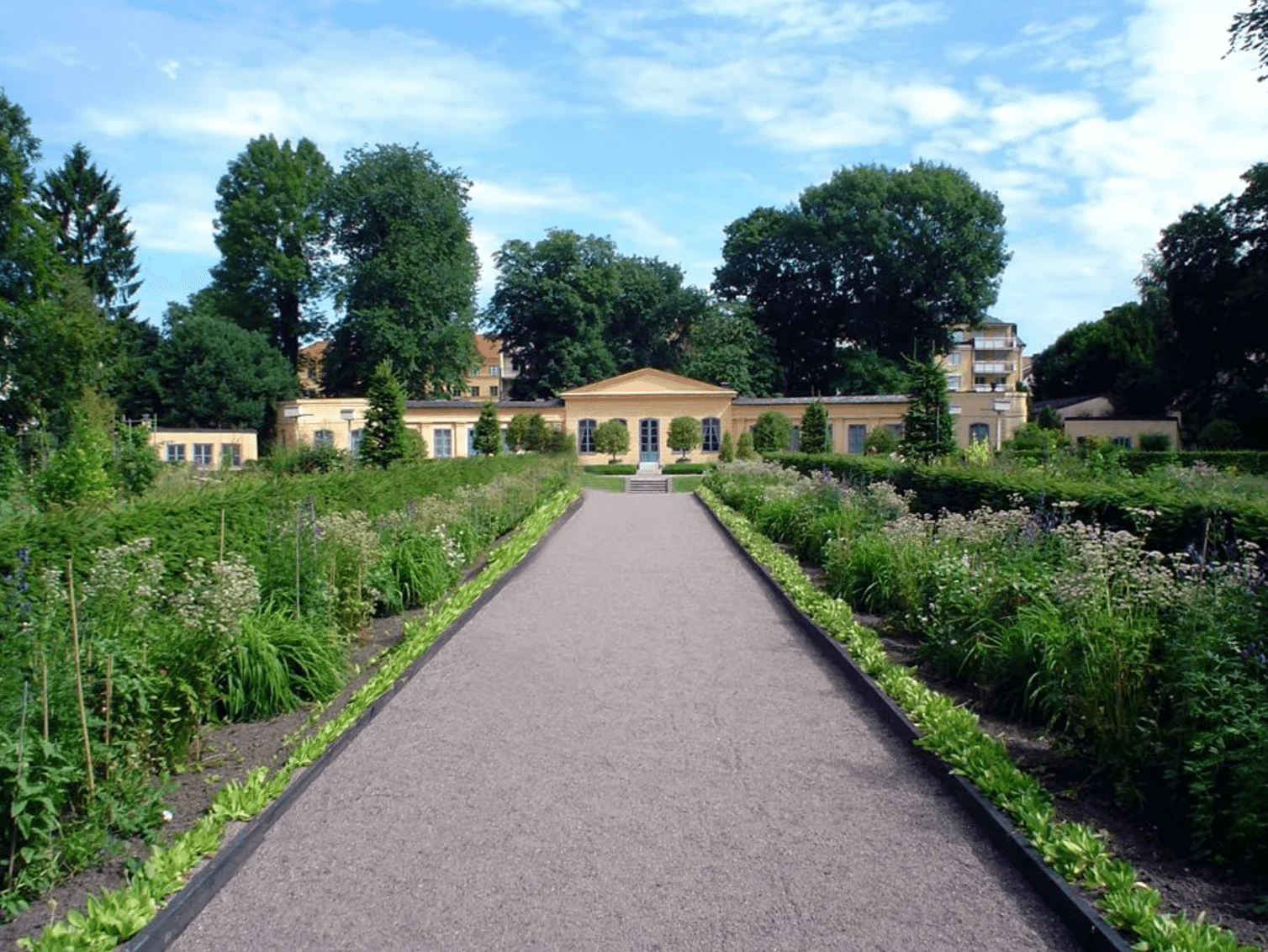Bjud in till fest i Linnéträdgården i Uppsala, Sveriges äldsta botaniska trädgård