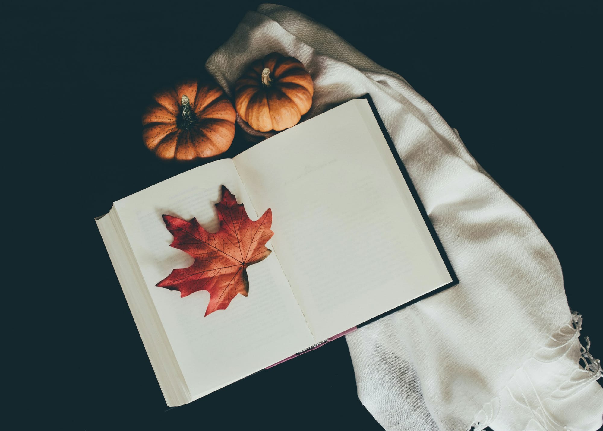 Öppen bok med ett rött höstlöv, två små pumpor och en vit filt på mörk bakgrund, symboliserar mysig stämning för ett Halloween kalas.